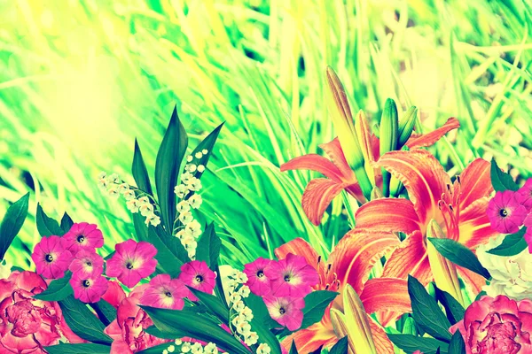 Renkli parlak çiçek lilyum, peonies, vadideki zambak — Stok fotoğraf