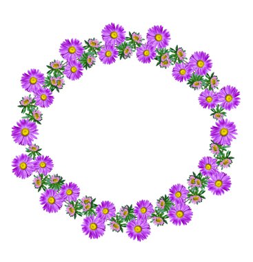  Beyaz arka plan üzerinde izole Michaelmas'la papatya çiçekler