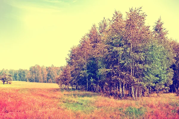 Herbstlandschaft. geht. Bunte Bäume. Indischer Sommer — Stockfoto