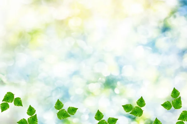 Gałąź jasny kolorowy zielone liście. pejzaż wiosna — Zdjęcie stockowe