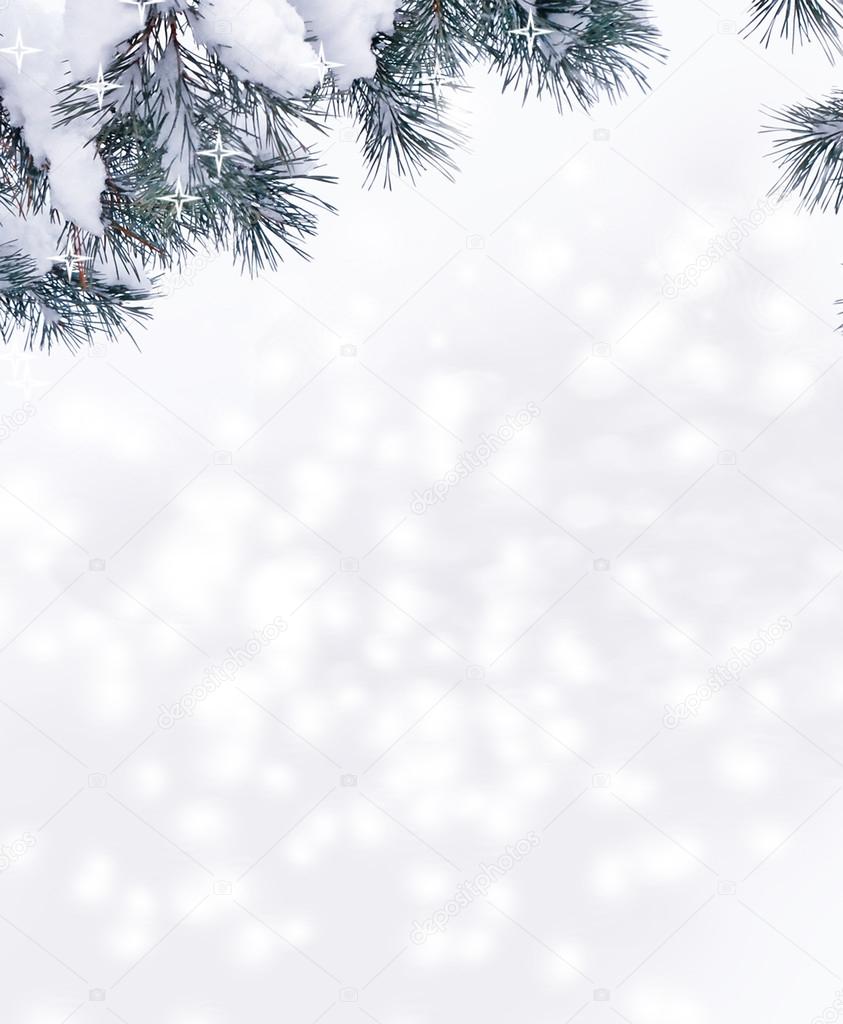  forest in the frost. Winter landscape. Snow covered trees. 