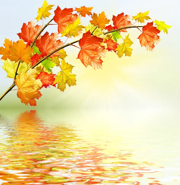 Autumn landscape with bright colorful foliage. Indian summer. — Stock Photo, Image