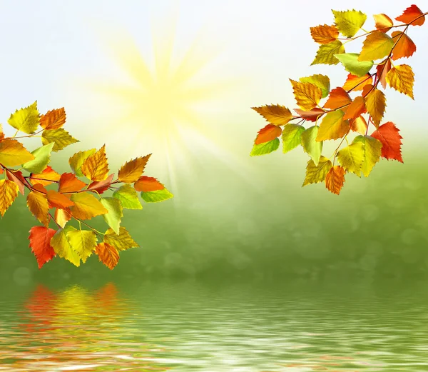 Autumn landscape with bright colorful foliage. Indian summer. — Stock Photo, Image