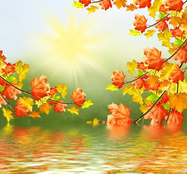 Autumn landscape with bright colorful foliage. Indian summer. — Stock Photo, Image