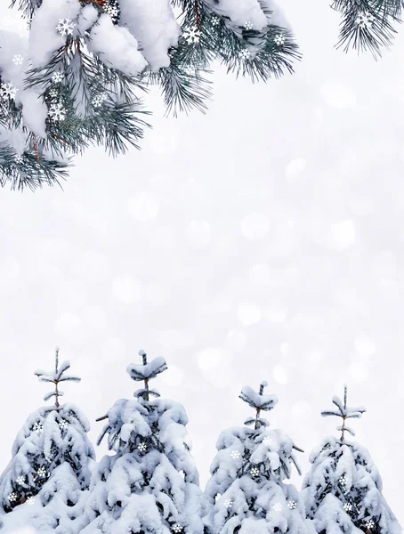 Bosque en la helada. Paisaje invernal. Árboles cubiertos de nieve. — Foto de Stock