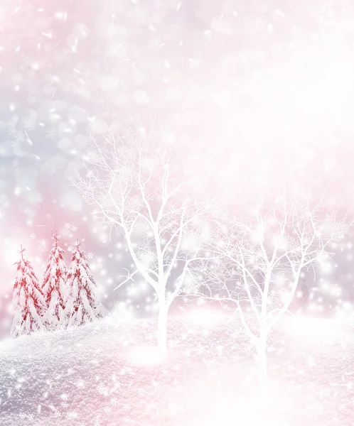 Forest in the frost. Winter landscape. Snow covered trees. — Stock Photo, Image