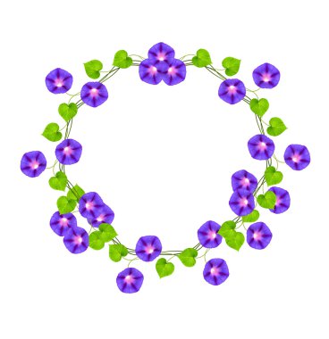 Autumn colorful morning glory flowers isolated on white backgrou clipart