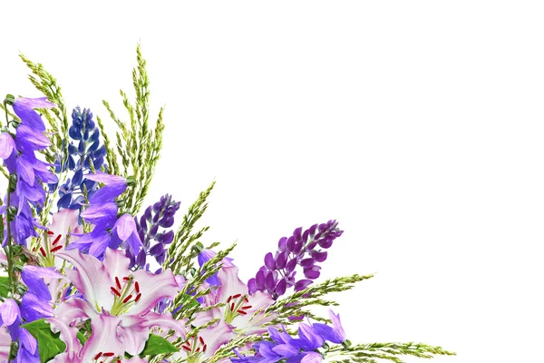 Blue lupines beautiful flowers on a white background — Stock Photo, Image