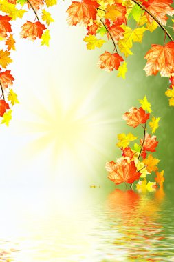 sonbahar manzara parlak renkli yeşillik ile. Pastırma yazı.