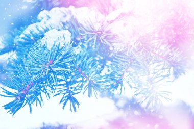 Karla kaplı ağaçlarla donmuş kış ormanı. Açık hava