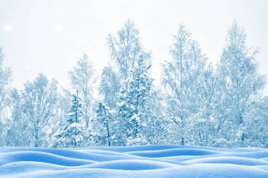 Karla kaplı ağaçlarla donmuş kış ormanı. Açık hava