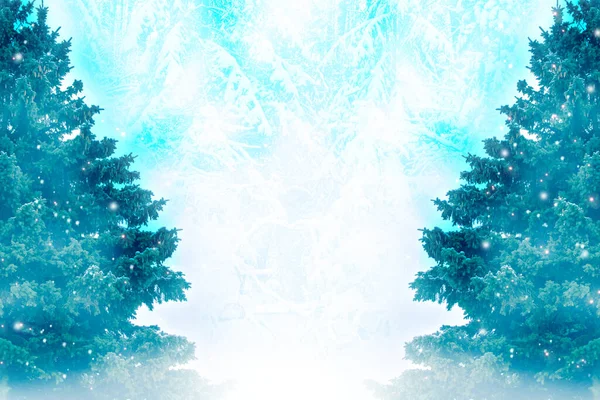 Заморожений Зимовий Ліс Засніженими Деревами Відкритий — стокове фото