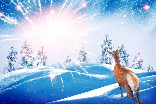 Bos Vorst Winterlandschap Met Sneeuw Bedekte Bomen Herten Vrolijk Kerstfeest — Stockfoto