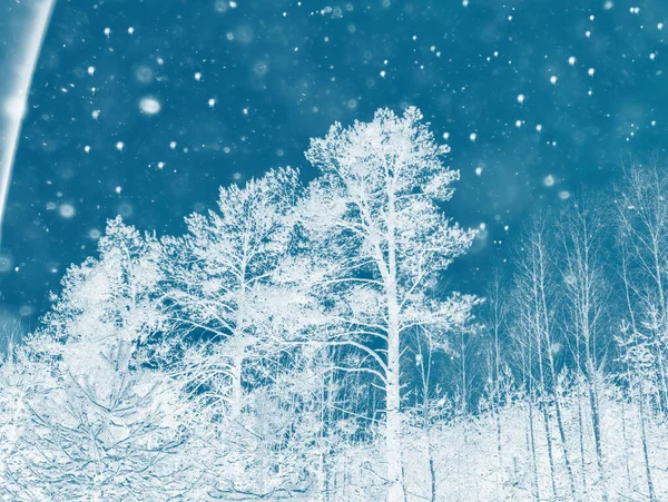 Zamazane Tło Mrożony Las Zimowy Pokrytymi Śniegiem Drzewami Zewnątrz — Zdjęcie stockowe