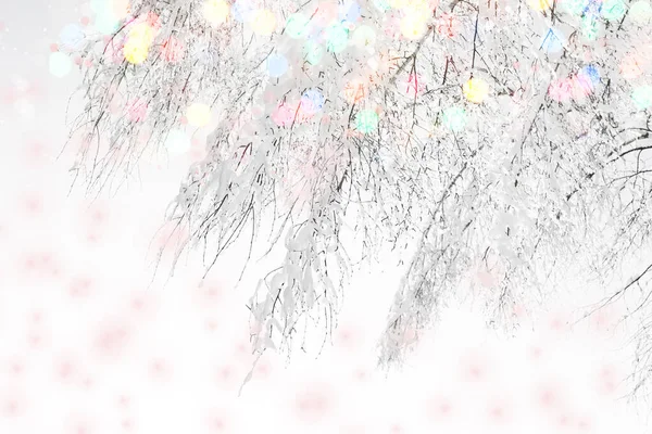 Zmrzlý Zimní Les Zasněženými Stromy Venkovní Slavnostní Vánoční Přání — Stock fotografie