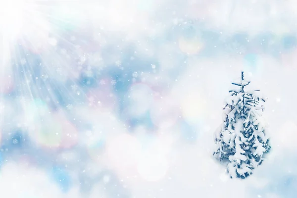 Zmrzlý Zimní Les Zasněženými Stromy Šťastný Nový Rok Veselé Vánoce — Stock fotografie