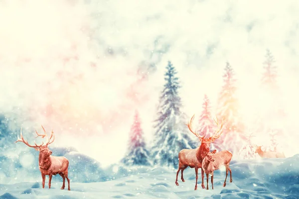 Les Mrazu Zimní Krajina Sněhem Pokryté Stromy Jelena Veselé Vánoce — Stock fotografie