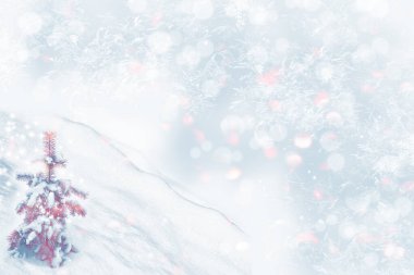 Karla kaplı ağaçlarla donmuş kış ormanı. Açık havada. Mutlu yıllar ve mutlu Noeller.