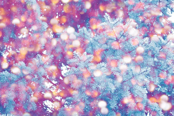 Karla Kaplı Ağaçlarla Donmuş Kış Ormanı Açık Havada Mutlu Yıllar — Stok fotoğraf