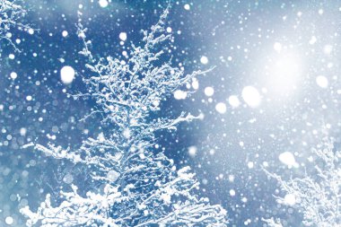 Karla kaplı ağaçlarla donmuş kış ormanı. Açık havada. Şenlikli Noel kartı.