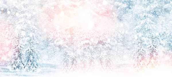 ハッピーニューイヤーとメリークリスマス 雪に覆われた木々が凍る冬の森 — ストック写真