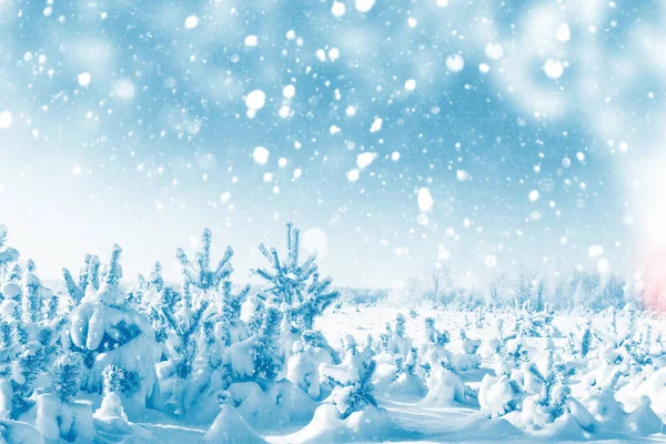 Buon Anno Buon Natale Foresta Invernale Ghiacciata Con Alberi Innevati — Foto Stock