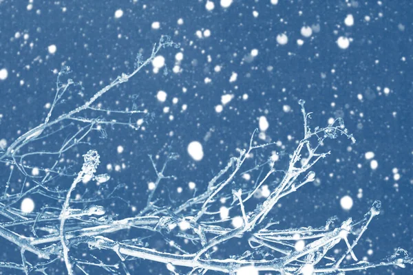 Bevroren Winterbos Met Besneeuwde Bomen Buiten Feestelijke Kerstkaart — Stockfoto