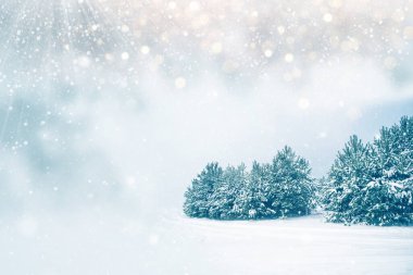 Karla kaplı ağaçlarla donmuş kış ormanı. Açık hava