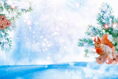 Kış ormanı Kış manzarası. Ağaç kaplı tebrik kartı. sincap