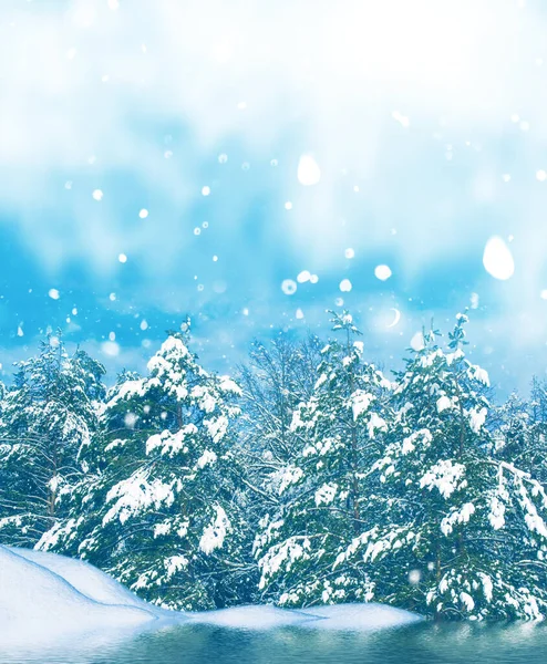 Foresta Invernale Ghiacciata Con Alberi Innevati All Aperto — Foto Stock