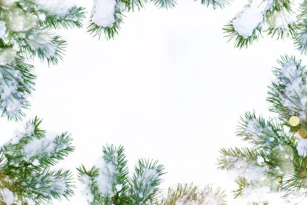 Julgran Snön Isolerad Vit Bakgrund Gratulationskort Vinter — Stockfoto