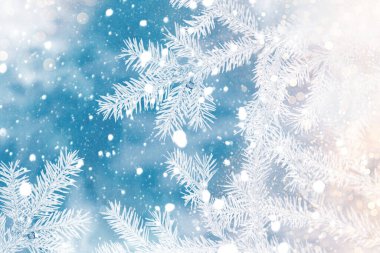 Mutlu yıllar ve mutlu Noeller! Karla kaplı ağaçlarla donmuş kış ormanı. Kozalaklı ladin dalı. Açık hava