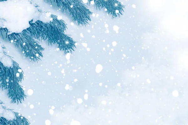 Kerstboom Sneeuw Wenskaart Winter — Stockfoto