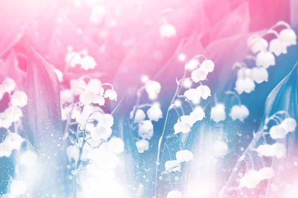 Vårlandskap Blommor Liljekonvalj Utomhus — Stockfoto