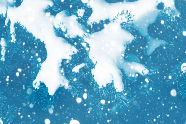 Bosque Invierno Congelado Con Árboles Cubiertos Nieve Exterior —  Fotos de Stock