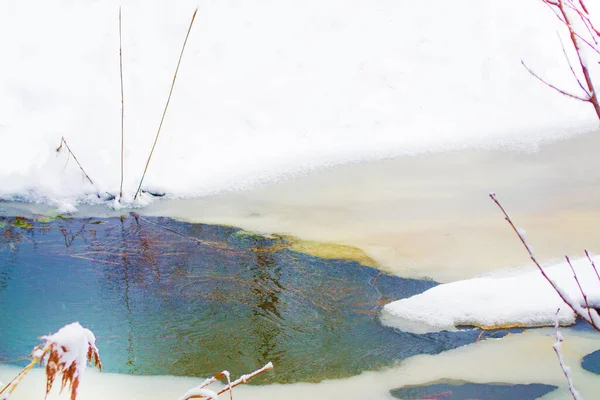 Озеро Лесу Замороженный Зимний Пейзаж Заснеженными Деревьями Открытый — стоковое фото