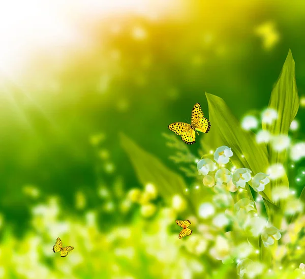 Vårlandskap Blommor Liljekonvalj Utomhus — Stockfoto