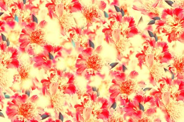 Renkli parlak çiçek şakayığı. Soyut doğal çiçek arkaplanı. 