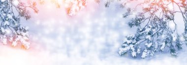 Karların dalları Noel ağacını kapladı. tebrik kartı