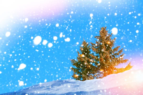 Foresta Invernale Ghiacciata Con Alberi Innevati All Aperto — Foto Stock