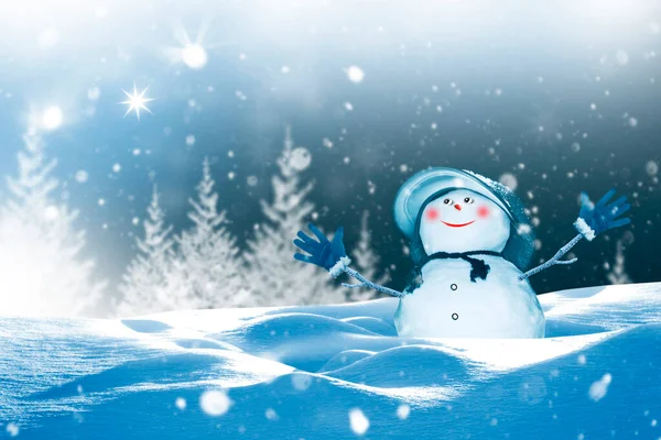 Funny happy snowman. Winter landscape. Merry christmas and happy new year greeting card