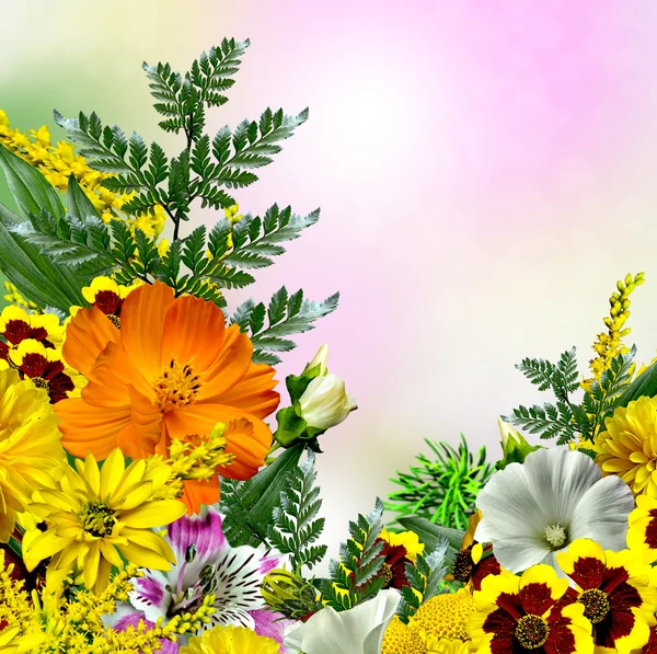 Floral background — Stock Photo, Image