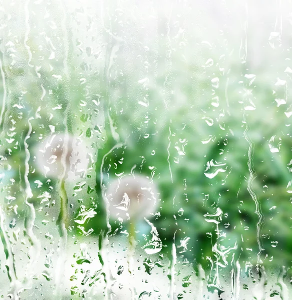 Jarní krajina s mladou trávu. déšť — Stock fotografie