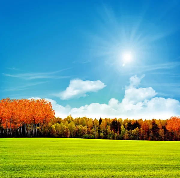 Paesaggio d'autunno — Foto Stock