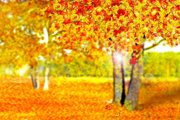 Herfstlandschap. — Stockfoto