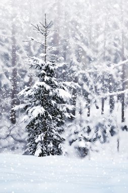 Kış. kar yağışı.