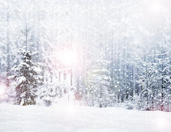 Vinter. snöfall. — Stockfoto