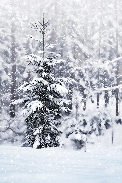 Zima. sněžení. — Stock fotografie
