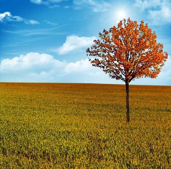 Herfstlandschap — Stockfoto