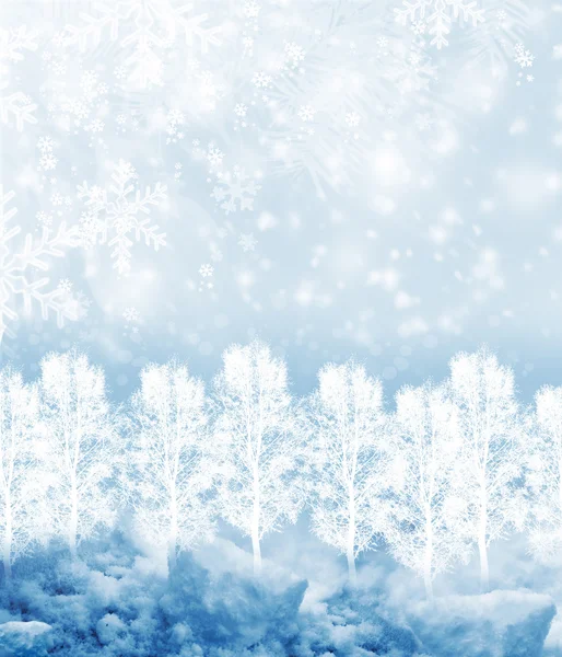 Background of snow. Winter landscape — Stock Photo, Image